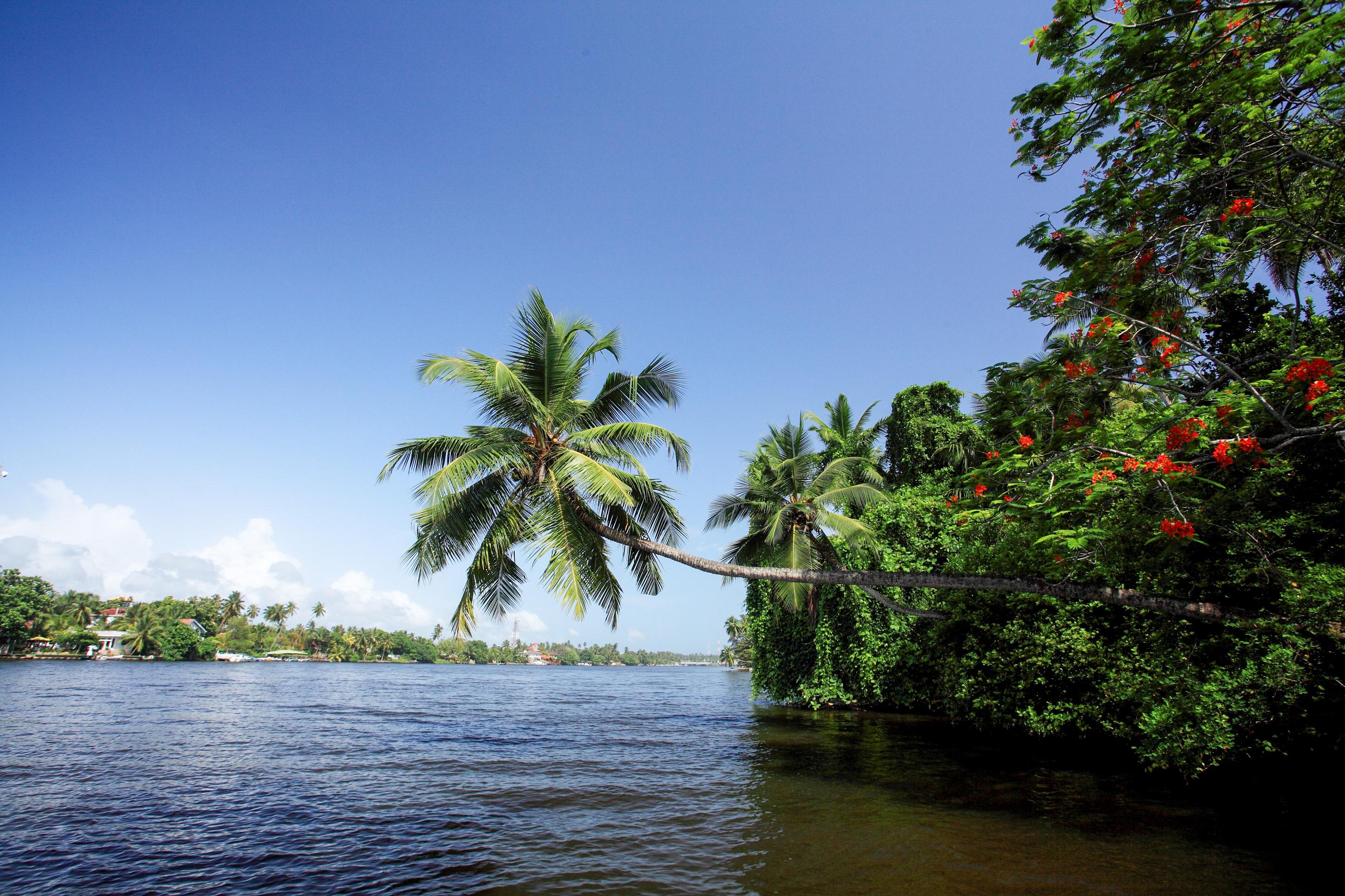 Centara Ceysands Resort & Spa Sri Lanka Bentota Ngoại thất bức ảnh